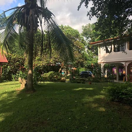 Casa Ballena Eco Hostel Увіта Екстер'єр фото