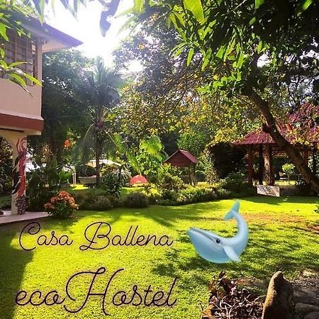 Casa Ballena Eco Hostel Увіта Екстер'єр фото