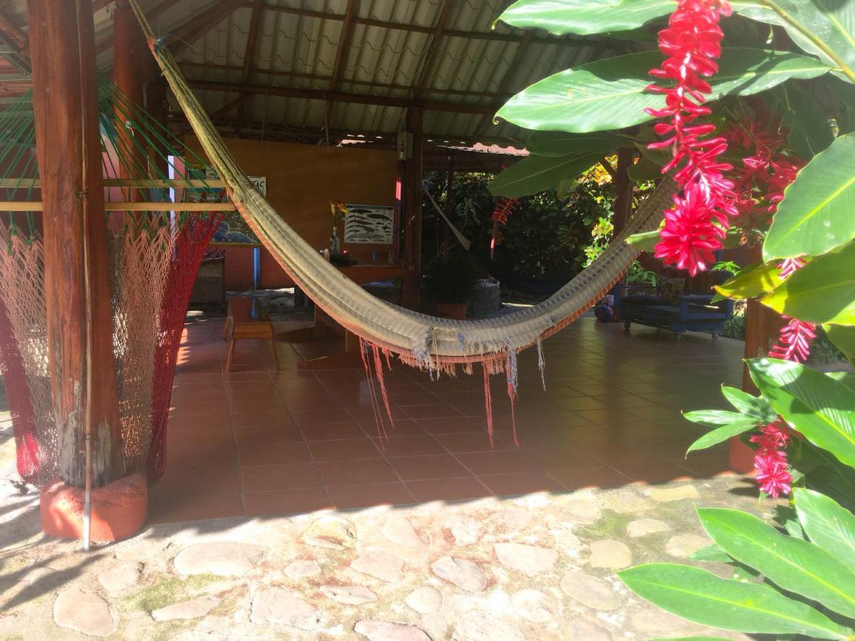 Casa Ballena Eco Hostel Увіта Екстер'єр фото