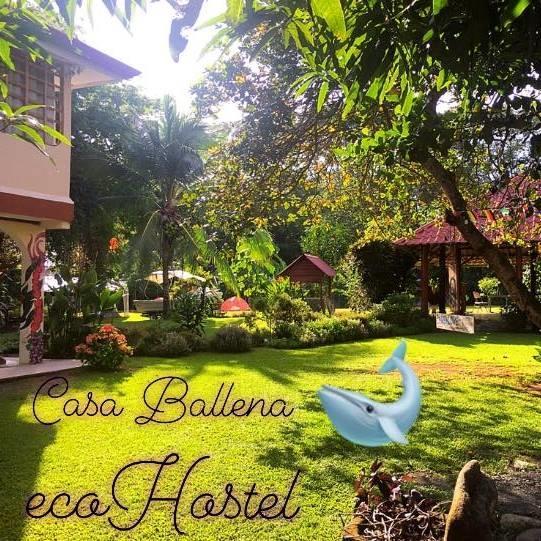 Casa Ballena Eco Hostel Увіта Екстер'єр фото